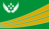 Bandera ciudad de san guillermo.png