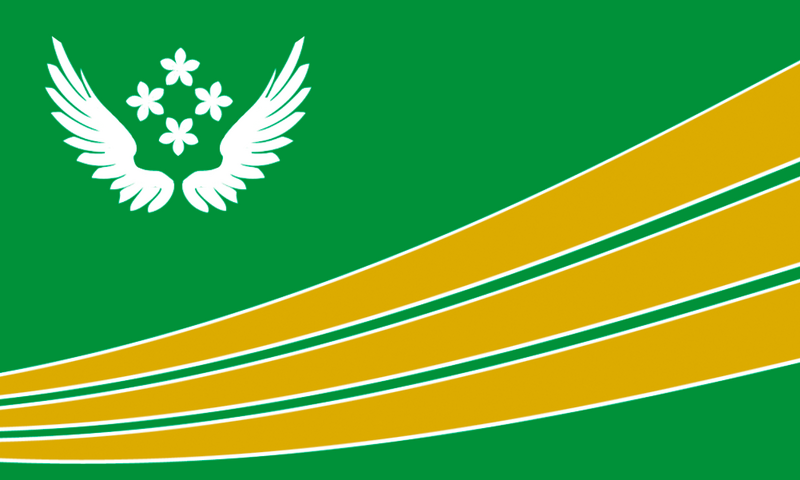 Bandera ciudad de san guillermo