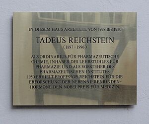 Archivo:Basel 2012-10-02 Mattes (82)