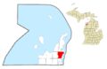 Bingham Township, MI location