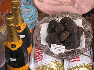 Archivo:Black.summer.truffle.arp