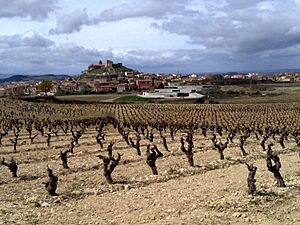 Archivo:Bodega Contador en San Vicente de la Sonsierra