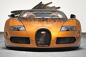 Archivo:Bugatti Veyron Grand Sport Venet (10521206404)