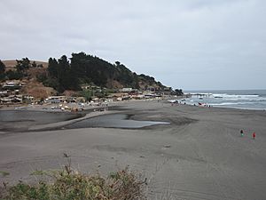 Archivo:Caleta y playa de Llico