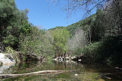 Cauce del Arroyo de Guadalora.JPG