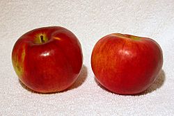 Archivo:Cortland apples