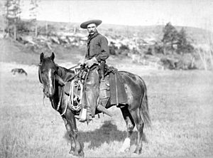 Archivo:Cowboy