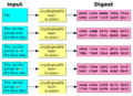 Cryptographic Hash Function
