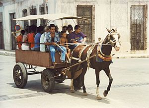 Archivo:Cuban transport