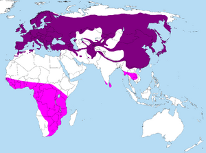 Archivo:Distribution of Cuculus canorus