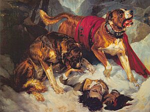 Archivo:Edwin Landseer - Alpine Mastiffs Reanimating a Distressed Traveler
