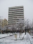 Elurra21