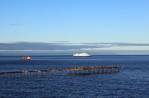 Archivo:Estrecho de Magallanes desde Punta Arenas