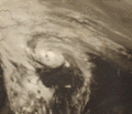 Evelyn1977oct150001z.gif