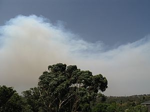 Archivo:February 7 Victorian bushfires smoke east of Melbourne