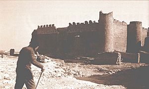 Archivo:Fundación Joaquín Díaz - Laguna - Urueña (Valladolid)