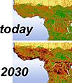 Grasp africa