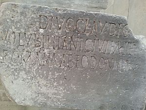 Archivo:Inscription avec la transformation de Volubilis en municipe romain.