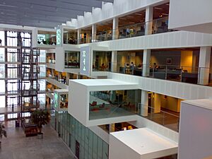 Archivo:It-university