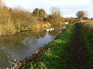 Archivo:Kennet-And-Avon-Canal
