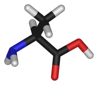 L-alanine-3D-sticks.png