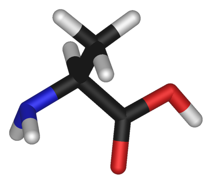 L-alanine-3D-sticks