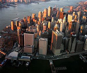 Lower Manhattan en 2008.