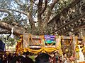 Mahabodhitree1