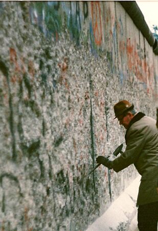 Mauerspecht 1989