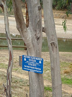 Archivo:Murrumbidgee river flood marker
