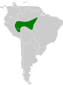 Distribución geográfica del hormiguerito de Ihering.
