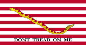 Archivo:Naval jack of the United States (2002–2019)