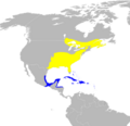 Parula americana map