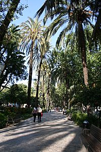 Archivo:Paseo del Parque de Málaga