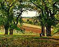 Pissarro, Camille, Les chataigniers a Osny (The Chestnut Trees at Osny), 1873
