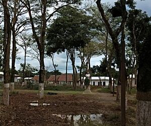 Archivo:Plaza Bolívar de Guasdualito