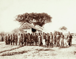 Queensland State Archives 5171 Prisoners at Daru 1898.png