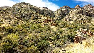 Archivo:ROCK CORRAL CANYON - Atascosa Mts (3-22-14) -08 (13340482035)