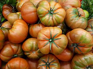 Archivo:Raf tomatoes 2017 C2