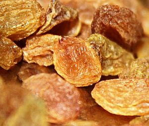 Archivo:Raisins 2