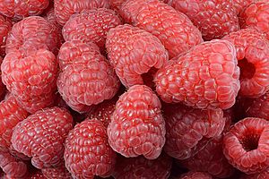 Archivo:Raspberries (Rubus idaeus)