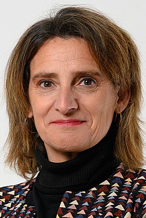 Archivo:Teresa Ribera 2020 (cropped)