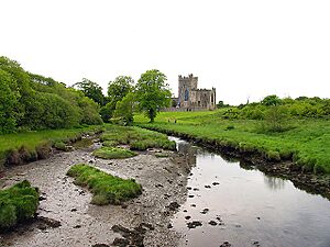 Archivo:Tintern Abbey (Co, Wexford)