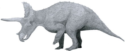 Triceratops by Tom Patker