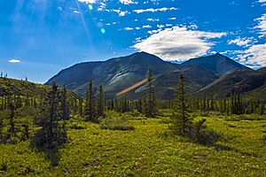 Archivo:Tundra landscape with clouds, trees mountains and lens flare 2
