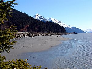 Archivo:TurnagainArm from GirdwoodAK