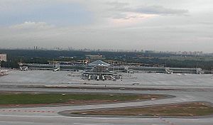 View on the construction site of the Sheremetyevo-D terminal.jpg