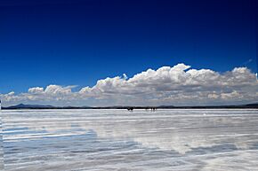 Archivo:Vista del Salar de Uyuni