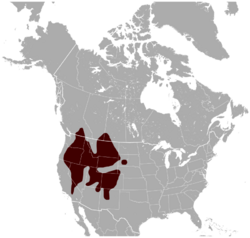 Marmota flaviventris range