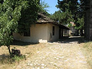 Archivo:Къкрина 976377040 6a02e0ee54 o